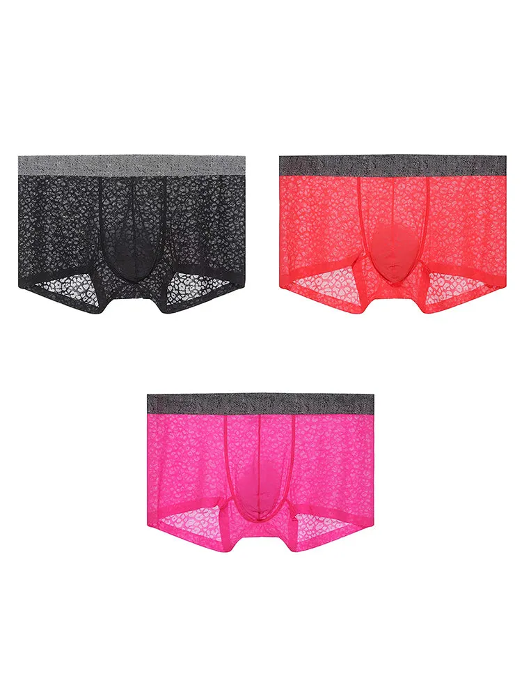 3 Pack Men's Lace Breathable Sweat-Wicking Trunks