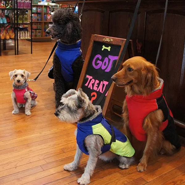 Alpine All-Weather Dog Coats | Solids