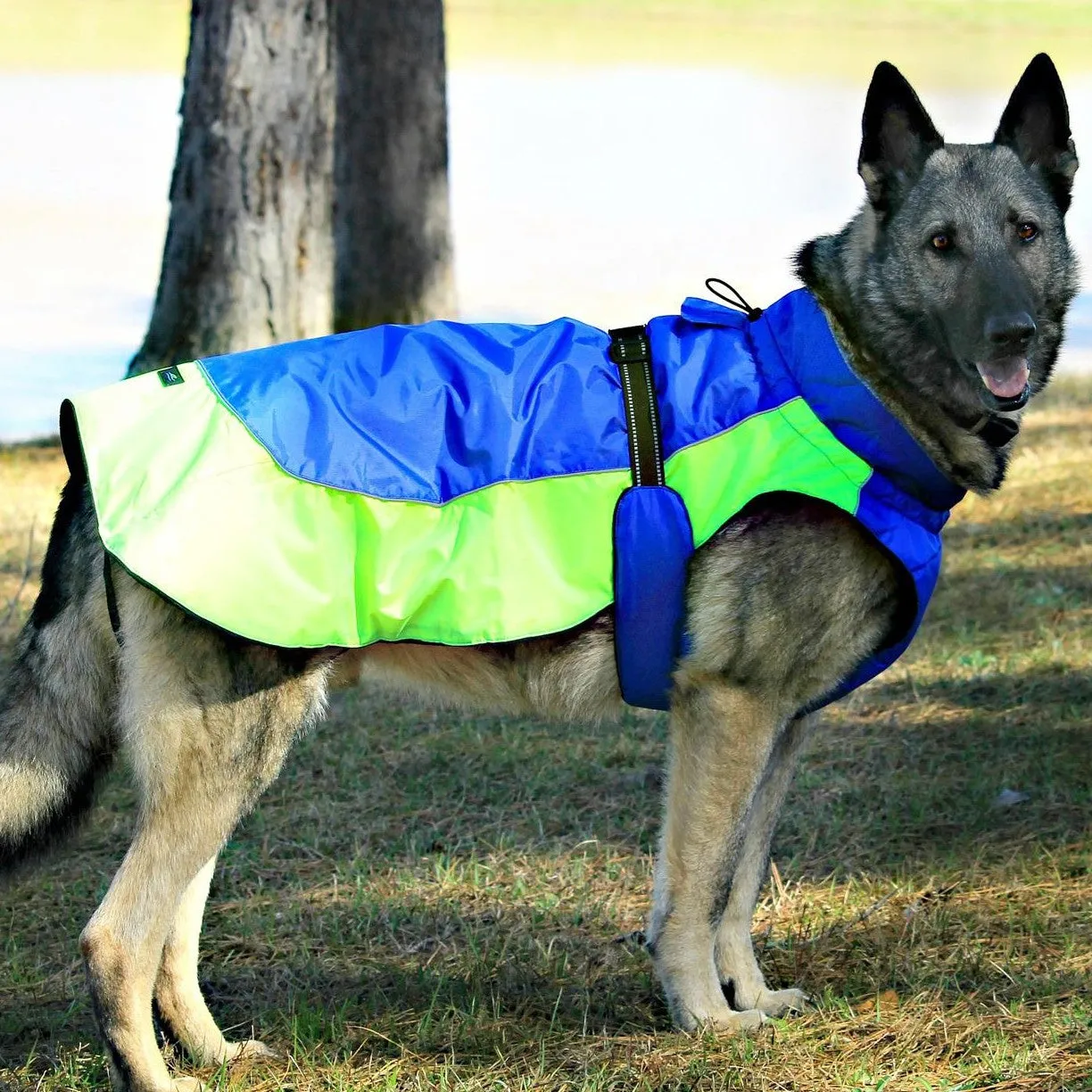 Alpine All-Weather Dog Coats | Solids